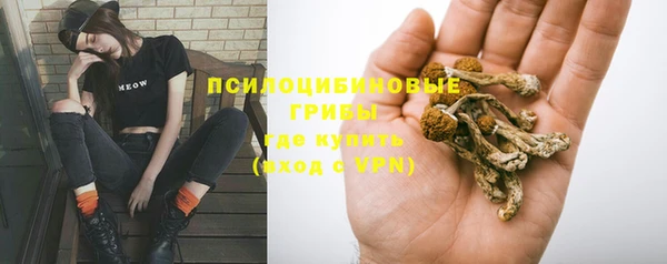PSILOCYBIN Семикаракорск