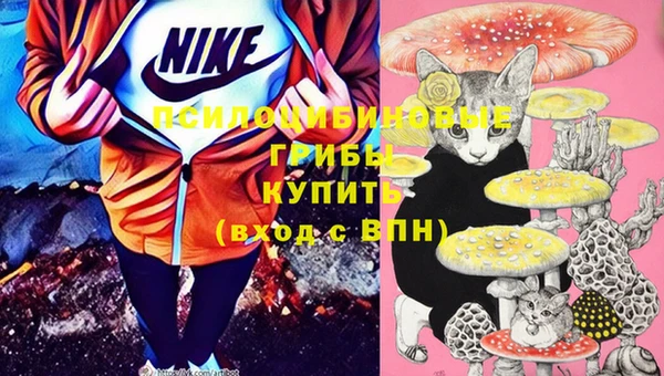 PSILOCYBIN Козельск