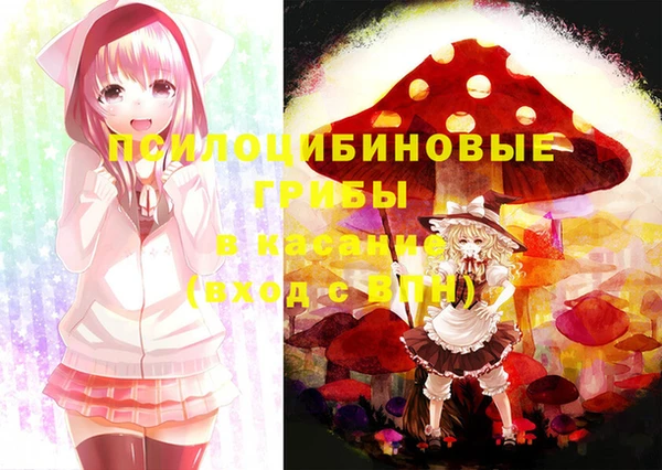spice Козловка