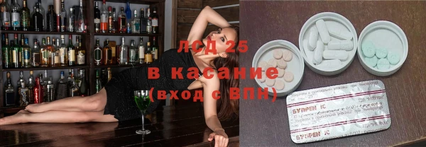крисы Кодинск