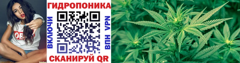 МАРИХУАНА Amnesia  Кирсанов 